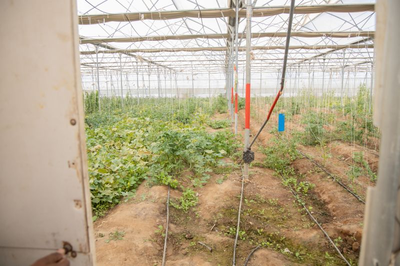 Crop Irrigation Installation in Aiken, SC