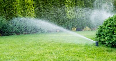 Damaged Sprinkler Repair in Aiken, SC