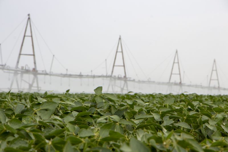 Green Space Irrigation