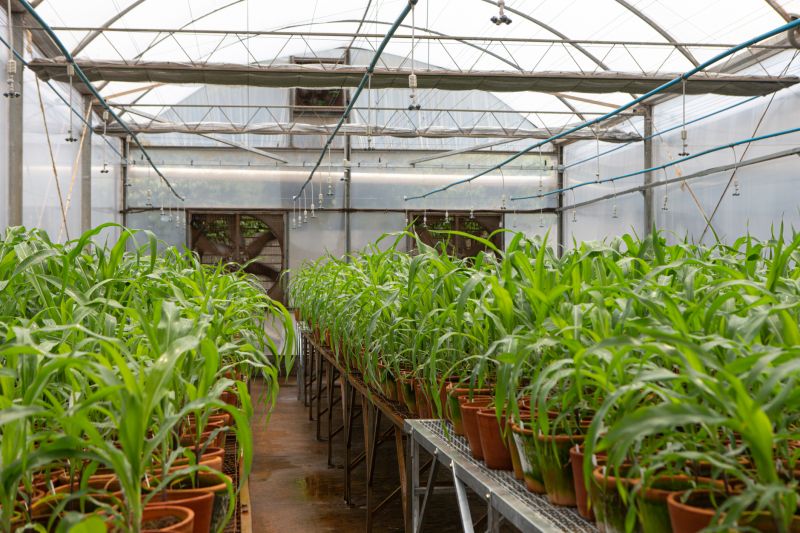 Green Space Irrigation