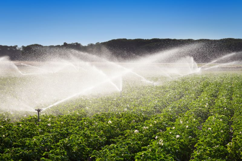 Plant Irrigation Installation in Aiken, SC