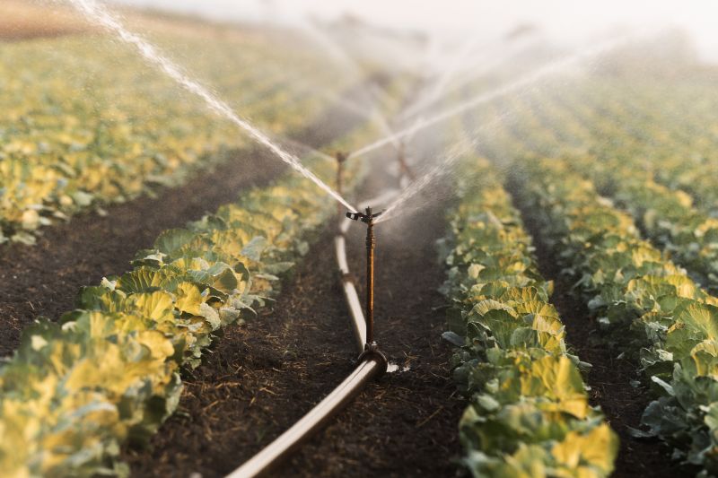 Watering System Installation in Aiken, SC