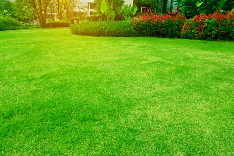 Landscape Maintenance Companies