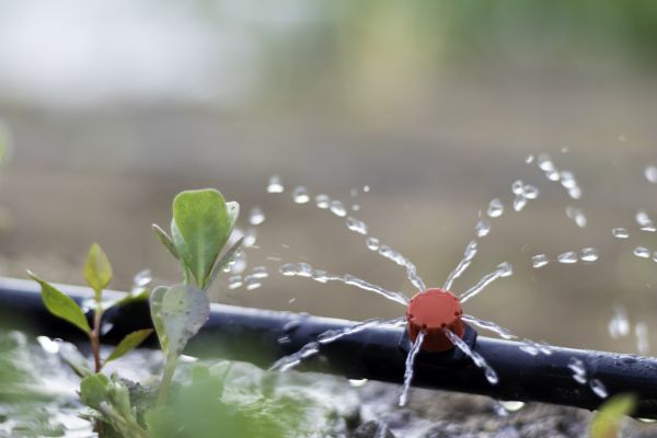 Drip Irrigation Service - Drip Irrigation Service Meridian, Idaho