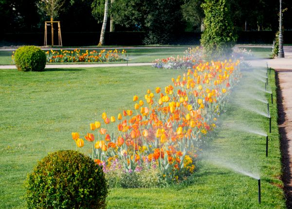 Landscape Irrigation Service
